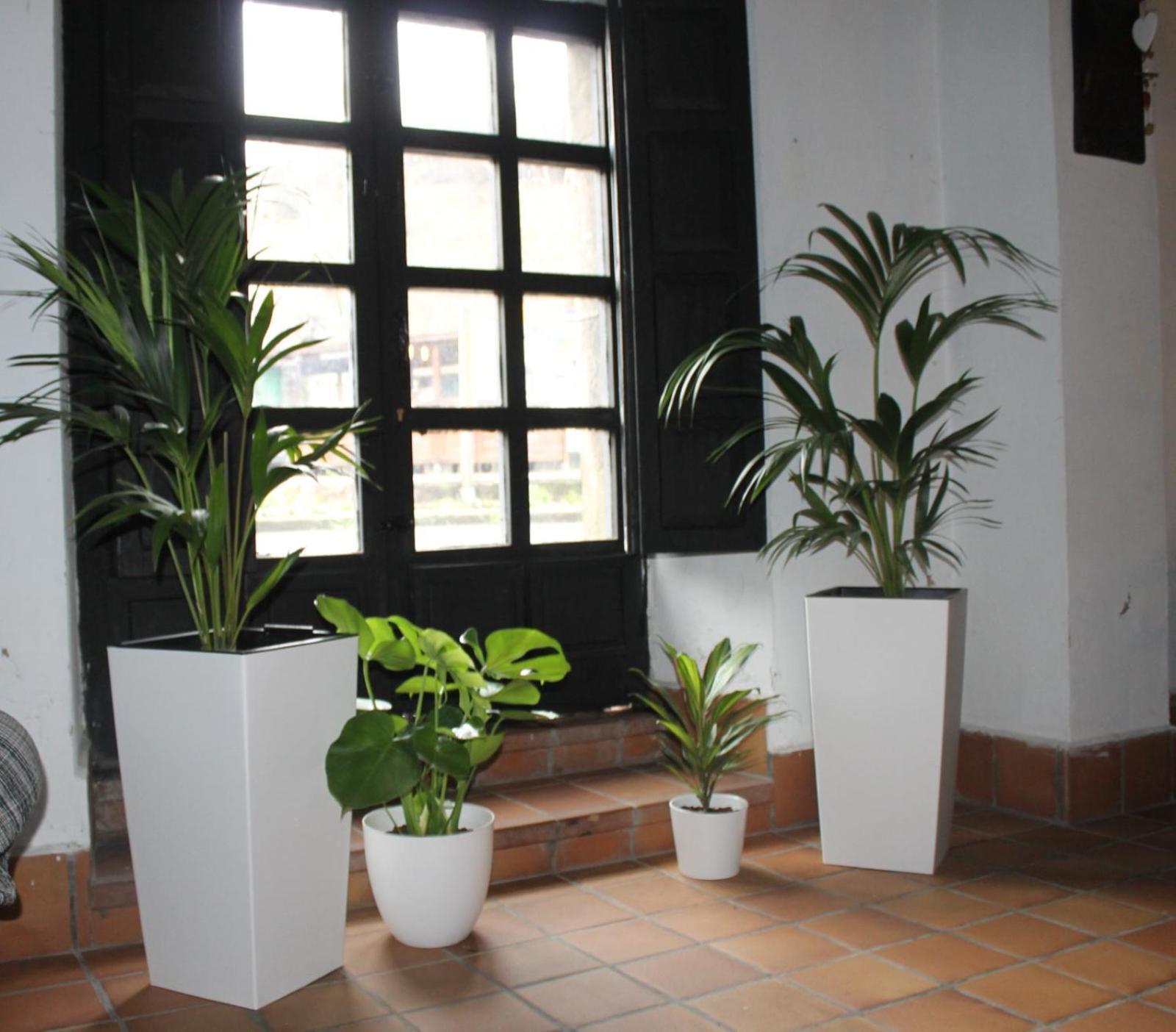 Villa La Casona Del Xerron El Condado Esterno foto